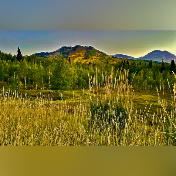 Meet your Posher, Benz Her - Picture 5 of 16